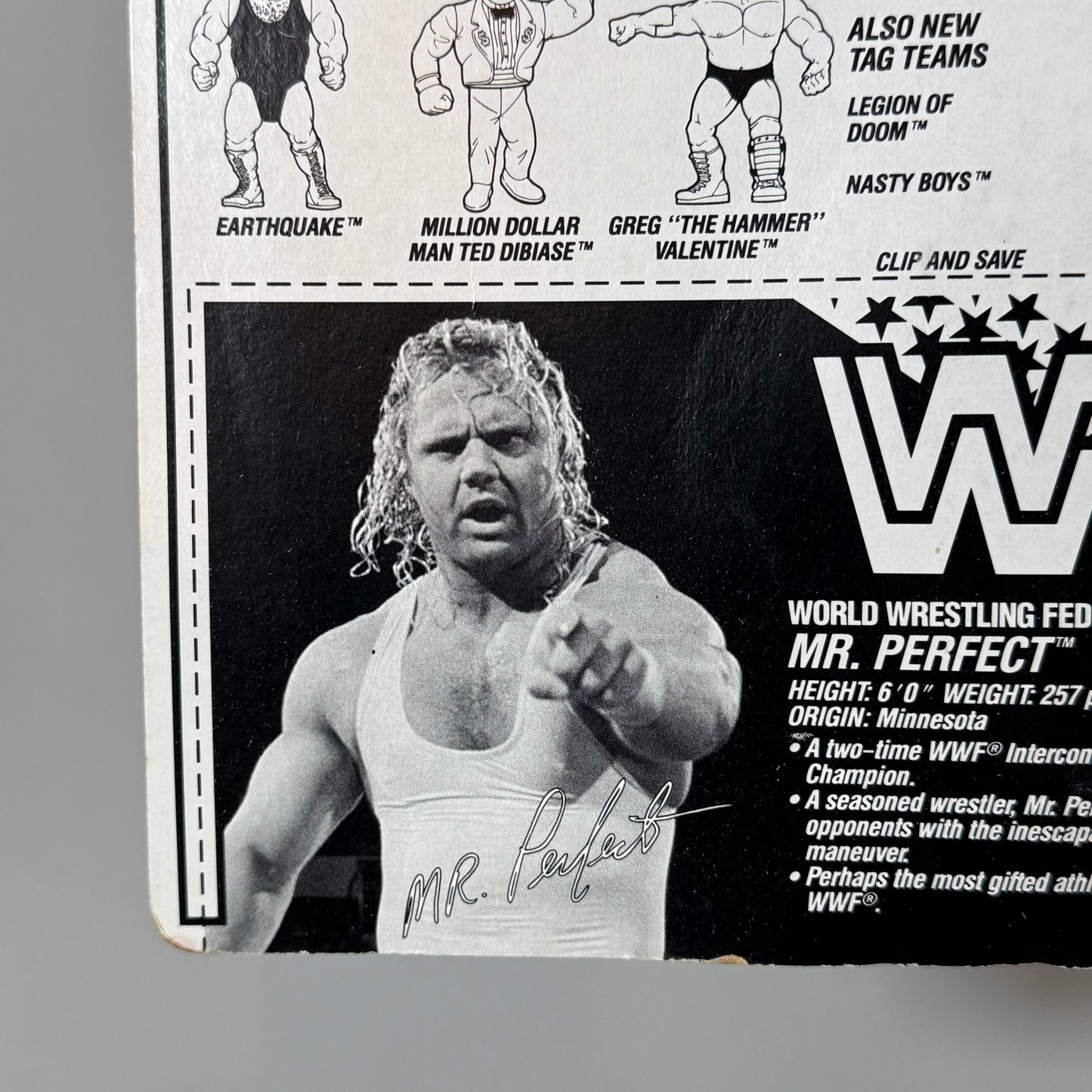 WWF Hasbro Mr. Perfect Series 3 MOC