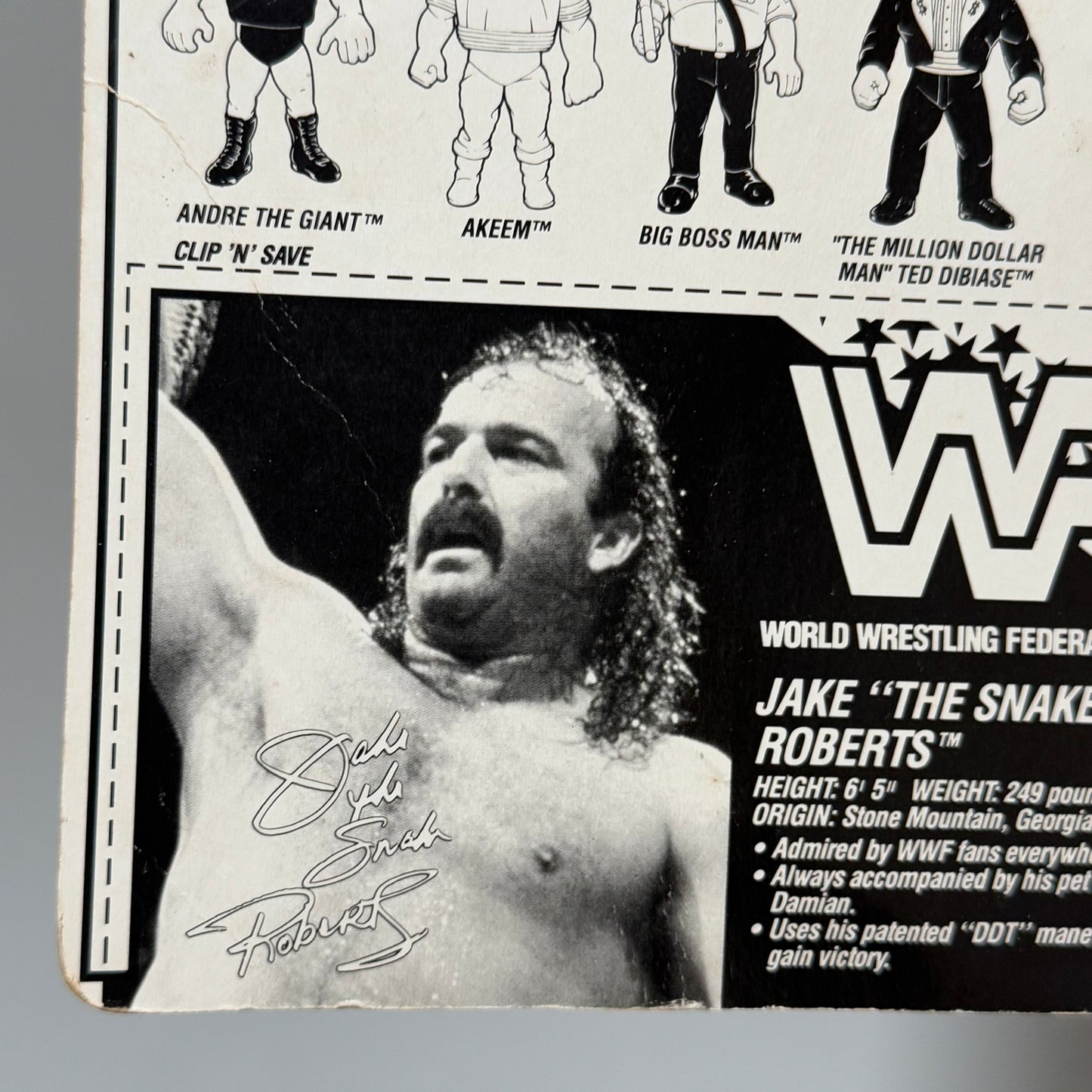 WWF Hasbro Jake "The Snake" Roberts Series 1 MOC