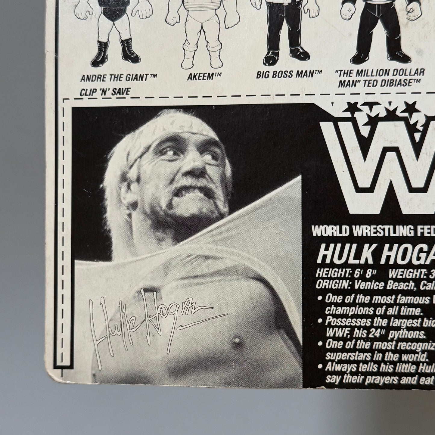 WWF Hasbro Hulk Hogan Series 1 MOC