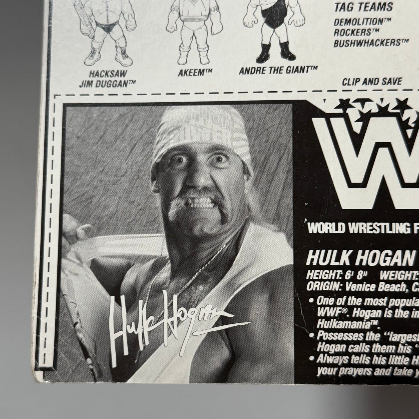 WWF Hasbro Hulk Hogan Series 2 MOC